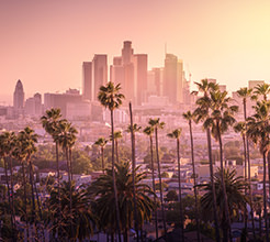 Los Angeles Hotels 18 Years Old Check-In