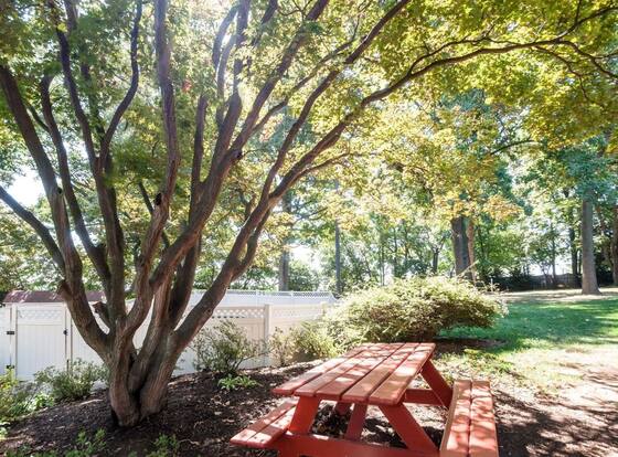 Comfort Inn Shady Grove - Gaithersburg - Rockville is a family friendly hotel in Gaithersburg, Maryland (MD)