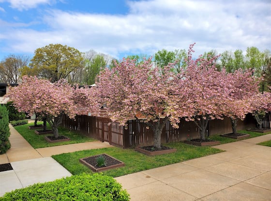Ramada by Wyndham Triangle/Quantico is a family friendly hotel in Triangle, Virginia (VA)