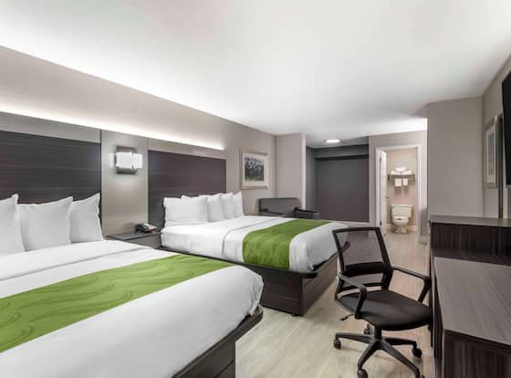 Quality Inn Gainesville near University is a family friendly hotel in Gainesville, Florida (FL)