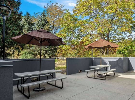 Spark by Hilton Stevensville is a family friendly hotel in Stevensville, Michigan (MI)