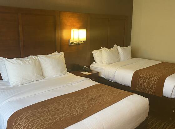Comfort Inn - Springfield is a family friendly hotel in Springfield, Virginia (VA)