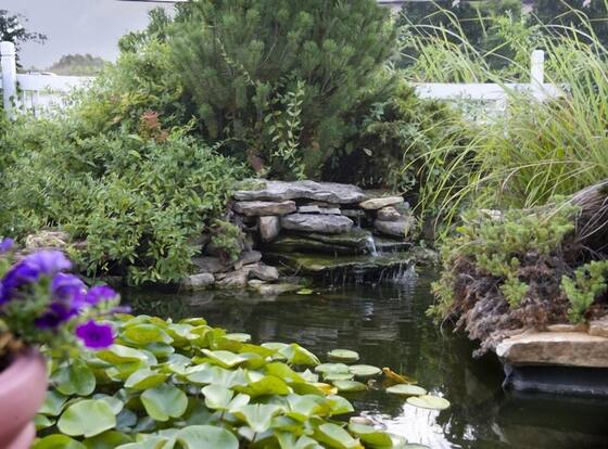 Honeysuckle Inn & Conference Center is a family friendly hotel in Branson, Missouri (MO)