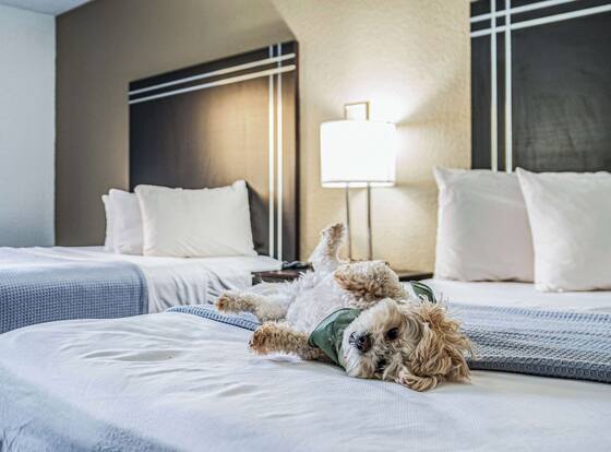 Econo Lodge Cleveland Southeast - Kent is a family friendly hotel in Streetsboro, Ohio (OH)