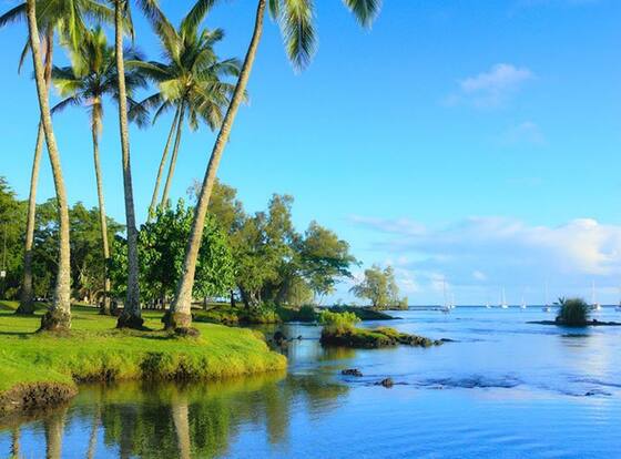SCP Hilo Hotel is a family friendly hotel in Hilo, Hawaii (HI)