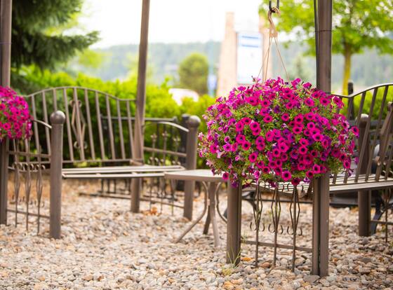 Days Inn by Wyndham Coeur d'Alene is a family friendly hotel in Coeur d'Alene, Idaho (ID)
