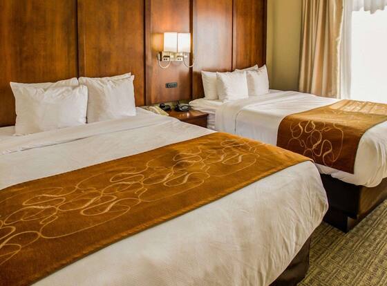 Comfort Suites is a family friendly hotel in Georgetown, Kentucky (KY)