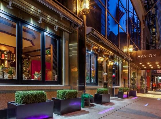 Avalon Hotel is a family friendly hotel in New York City (NYC), New York (NY)