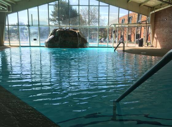 Pheasant Run Resort is a family friendly hotel in St. Charles, Illinois (IL)