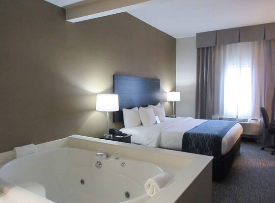 Comfort Inn is a family friendly hotel in Port Huron, Michigan (MI)