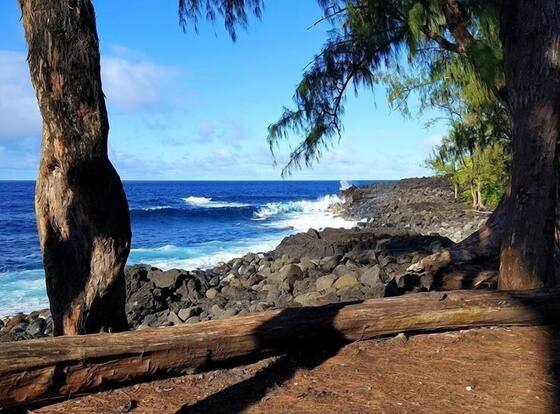 Ferns & Frogs Forest Hale 3 Bedroom Home by RedAwning is a family friendly hotel in Mountain View, Hawaii (HI)