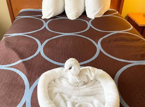 Super 8 by Wyndham Williston ND is a family friendly hotel in Williston, North Dakota (ND)