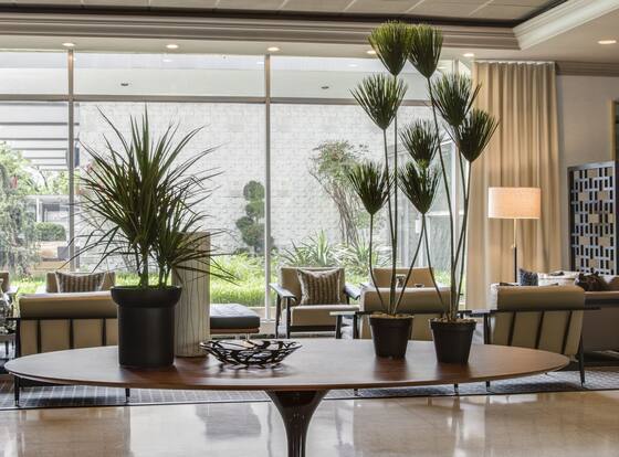 Capitol Skyline Hotel is a family friendly hotel in Washington, District of Columbia (DC)