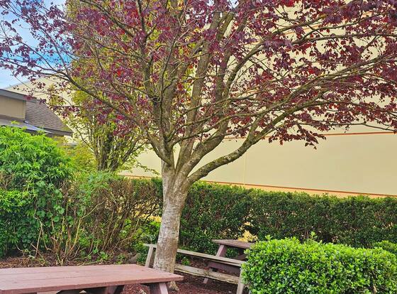 Ashley Inn of Tillamook is a family friendly hotel in Tillamook, Oregon (OR)