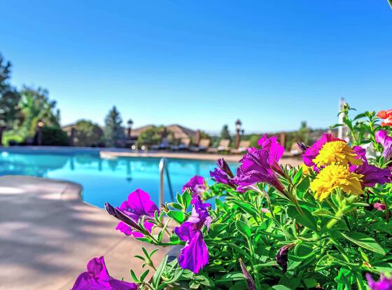 Cheyenne Mountain Resort, a Destination by Hyatt Hotels is a family friendly hotel in Colorado Springs, Colorado (CO)