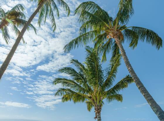 Castle at Moloka'i Shores is a family friendly hotel in Kaunakakai, Hawaii (HI)