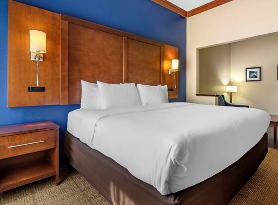 Comfort Inn & Suites Statesboro - University Area is a family friendly hotel in Statesboro, Georgia (GA)