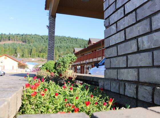 Rice Hill Inn is a family friendly hotel in Oakland, Oregon (OR)