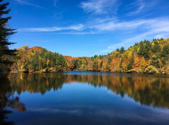 Mountain Meadows Lodge is a family friendly hotel in Killington Village, Vermont (VT)