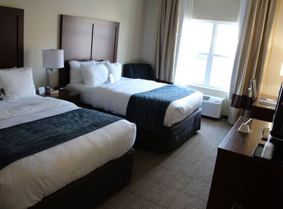 Comfort Inn & Suites Northern Kentucky is a family friendly hotel in Highland Heights, Kentucky (KY)