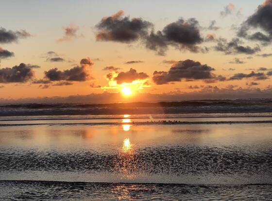 Comfort Inn Newport is a family friendly hotel in Newport, Oregon (OR)