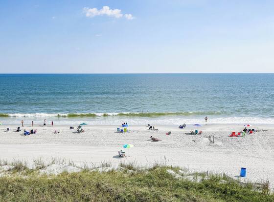 Jade Tree Cove is a family friendly hotel in Myrtle Beach, South Carolina (SC)