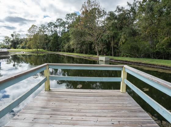 Barefoot Suites is a family friendly hotel in Kissimmee, Florida (FL)