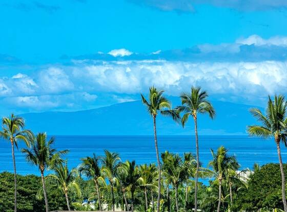 Wailea Ekolu One Bedrooms by Coldwell Banker Island Vacations is a family friendly hotel in Kihei, Hawaii (HI)