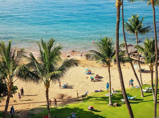 Mana Kai Maui Resort, #812a 1 Bedroom Condo by RedAwning is a family friendly hotel in Kihei, Hawaii (HI)