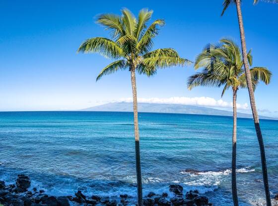 Noelani by Coldwell Banker Island Vacations is a family friendly hotel in Lahaina, Hawaii (HI)