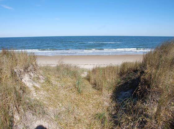 Beach Lovers Delight 3 Bedroom Cottage by RedAwning is a family friendly hotel in Norfolk, Virginia (VA)