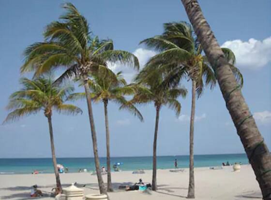 The Diane Oceanfront Suites is a family friendly hotel in Hollywood, Florida (FL)