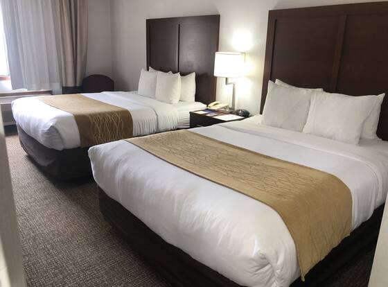 Comfort Inn Grand Island North is a family friendly hotel in Grand Island, Nebraska (NE)