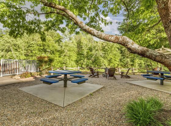 Best Western Plus River Escape Inn & Suites is a family friendly hotel in Dillsboro, North Carolina (NC)