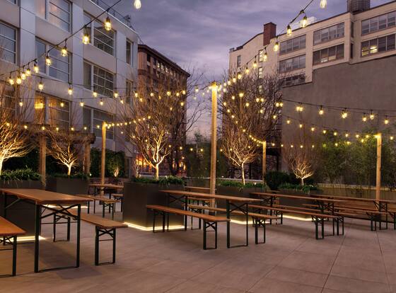 The Tillary Hotel is a family friendly hotel in Brooklyn, New York (NY)