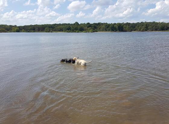 Lake Eufaula Inn is a family friendly hotel in Checotah, Oklahoma (OK)