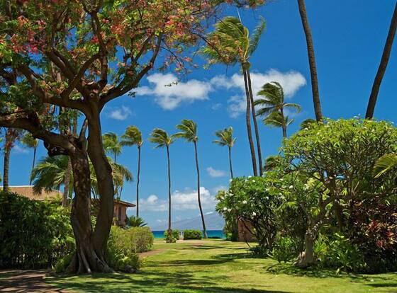 Maui Sands #6e 1 Bedroom Condo by RedAwning is a family friendly hotel in Lahaina, Hawaii (HI)