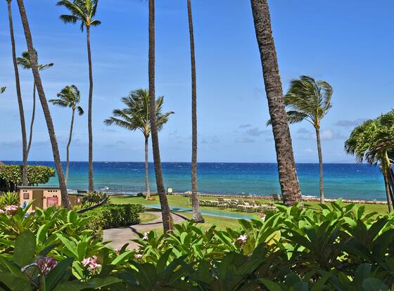 Papakea #b207 Studio Bedroom Condo by RedAwning is a family friendly hotel in Lahaina, Hawaii (HI)