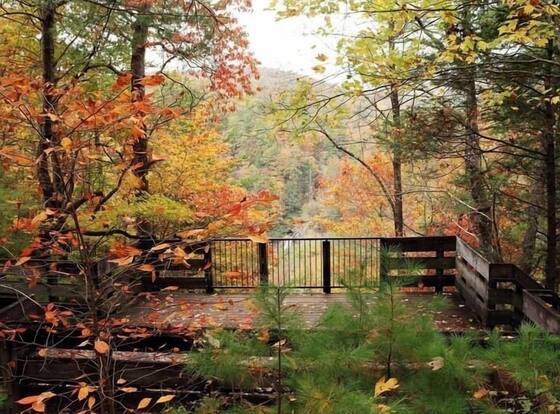 Nacoochee Valley Lodge is a family friendly hotel in Clarkesville, Georgia (GA)