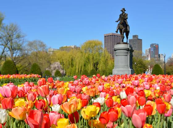 Preferred Two Bedroom Suite is a family friendly hotel in Boston, Massachusetts (MA)